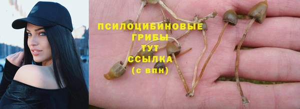 альфа пвп Осташков