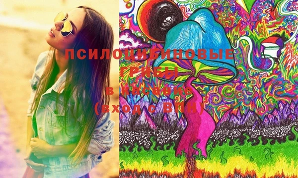 ешки Няндома